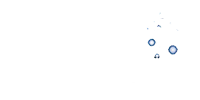 Fulton swim school logo